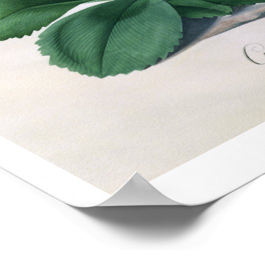 Chilton-Ruhm (gouache an Vellum) Poster (Ecke)