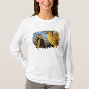 Chimäre, Kathedrale Notre-Dame, Paris, Frankreich T-Shirt