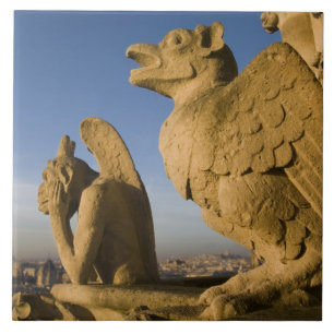 Chimera auf der Fassade der Kathedrale Notre Dame, Fliese