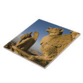 Chimera auf der Fassade der Kathedrale Notre Dame, Fliese (Seite)