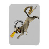 Chimera Magnet (Vertikal)