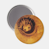 Chimera Magnet (Vorderseite/Rückseite)