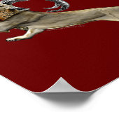 Chimera Poster (Ecke)