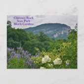 Chimney Rock von Flower Bridge Lake Lure NC Postkarte (Vorderseite)