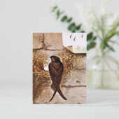 Chimney Swift Postkarte (Stehend Vorderseite)
