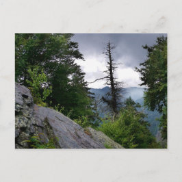 Chimney Tops große rauchfreie Berge Postkarte