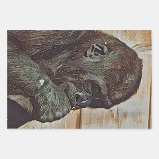 CHIMP ART GESCHENKPAPIER SET (Vorderseite 2)