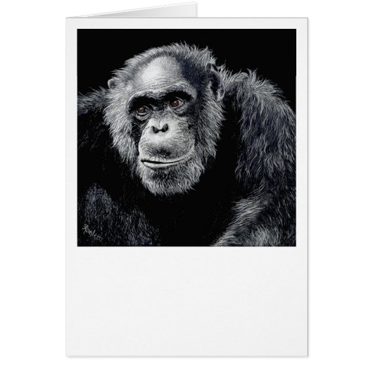 Chimp Card - "Jacob" (Vorne)