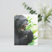 Chimp Fangs Postkarte (Stehend Vorderseite)