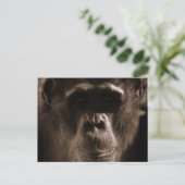 Chimp Postcard Postkarte (Stehend Vorderseite)