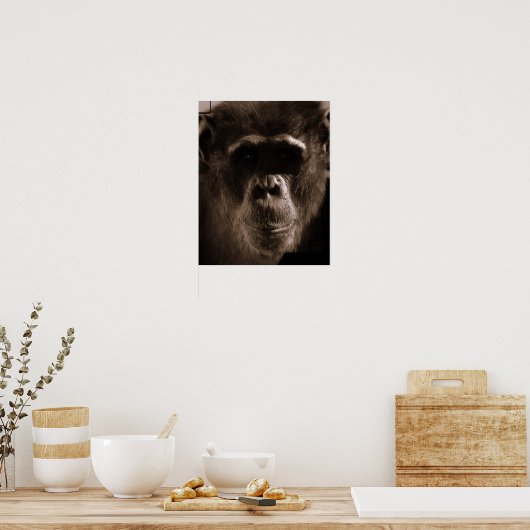 Chimp Poster Print (Küche)