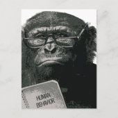 Chimp Reading Postkarte (Vorderseite)