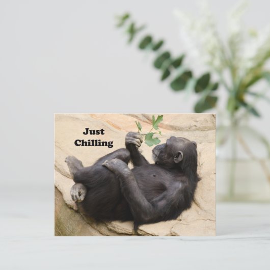 Chimp Relaxing Postkarte (Stehend Vorderseite)