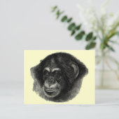 Chimp schlicht postkarte (Stehend Vorderseite)