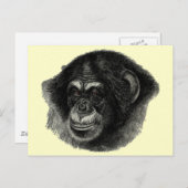 Chimp schlicht postkarte (Vorne/Hinten)