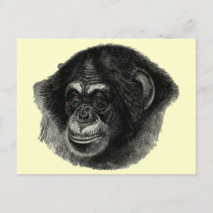 Chimp schlicht postkarte