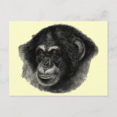 Chimp schlicht postkarte (Vorderseite)