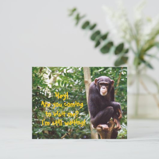 Chimp Spaß Postkarte (Stehend Vorderseite)