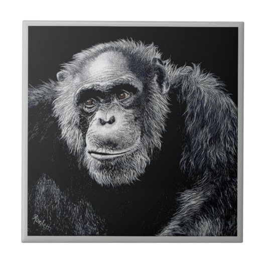 Chimp Tile - "Jacob" Fliese (Vorderseite)