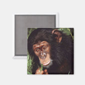 Chimpansee Magnet (Vorderseite/Rückseite)