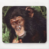 Chimpansee Mousepad (Vorne)
