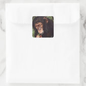 Chimpansee Quadratischer Aufkleber (Tasche)