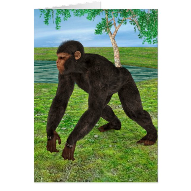 Chimpanzee (Vorne)