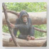 Chimpanzee 001 steinuntersetzer (Vorderseite)