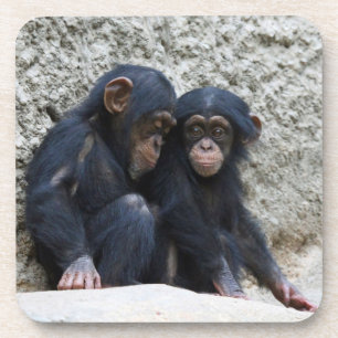 Chimpanzee 002 getränkeuntersetzer