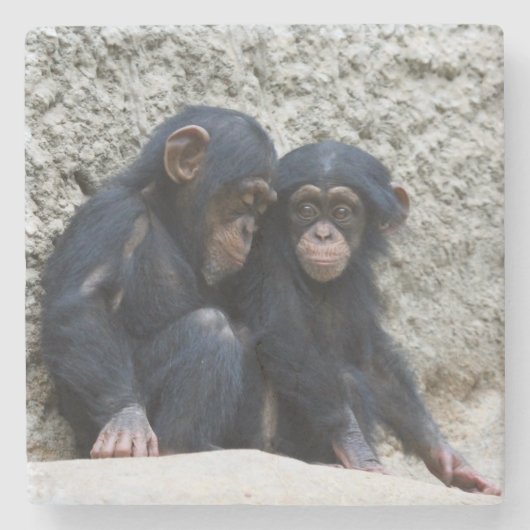 Chimpanzee 002 steinuntersetzer (Vorderseite)