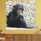 Chimpanzee 013 leinwanddruck (Insitu (Wohnzimmer))