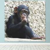 Chimpanzee 013 leinwanddruck (Insitu (Holzboden))