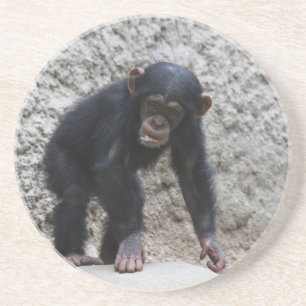 Chimpanzee 031 getränkeuntersetzer