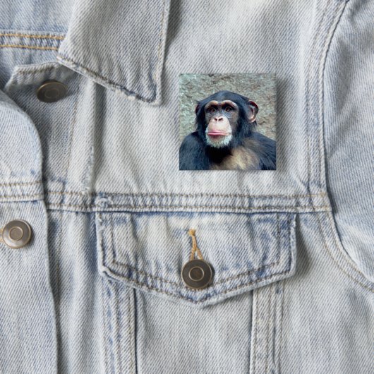 Chimpanzee Button (Beispiel)