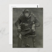 "Chimpanzee Dandy" Postkarte (Vorne/Hinten)
