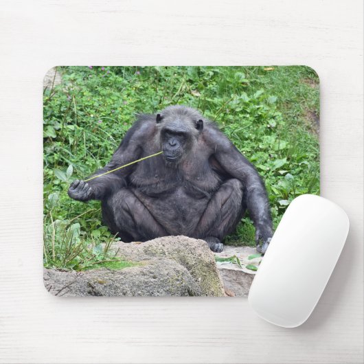 Chimpanzee Eating Grass Mousepad (Mit Mouse)