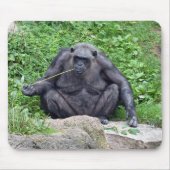 Chimpanzee Eating Grass Mousepad (Vorne)