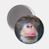 CHIMPANZEE FACE Primat Wilhelm Tell Magnet (Vorderseite/Rückseite)