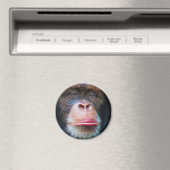 CHIMPANZEE FACE Primat Wilhelm Tell Magnet (In Situ (Geschirrspüler))