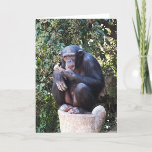 Chimpanzee Feiertagskarte