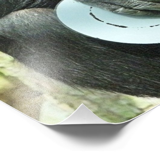 CHIMPANZEE FOTODRUCK (Ecke)