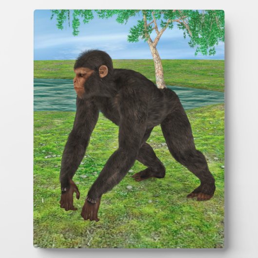 Chimpanzee Fotoplatte (Vorderseite)