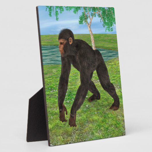 Chimpanzee Fotoplatte (Seite)
