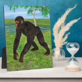 Chimpanzee Fotoplatte (Seite)