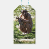 CHIMPANZEE GESCHENKANHÄNGER (Vorderseite)