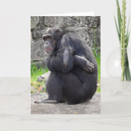 Chimpanzee Grußkarte Karte
