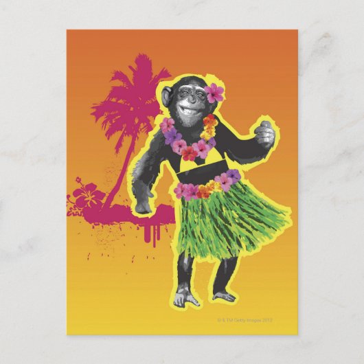Chimpanzee Hula Dancing Postkarte (Vorderseite)