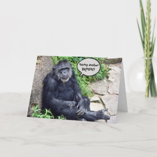 Chimpanzee Humore Birthday Karte (Vorderseite)