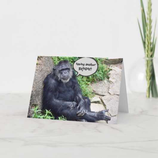 Chimpanzee Humore Birthday Karte (Vorderseite)
