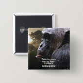 CHIMPANZEE III EXTINUTION BUTTON (Vorne & Hinten)